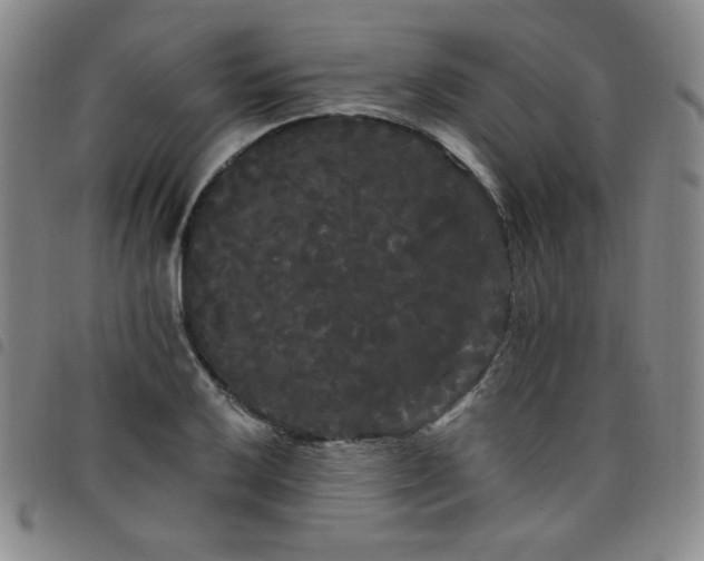 X0000098131032200804241644
