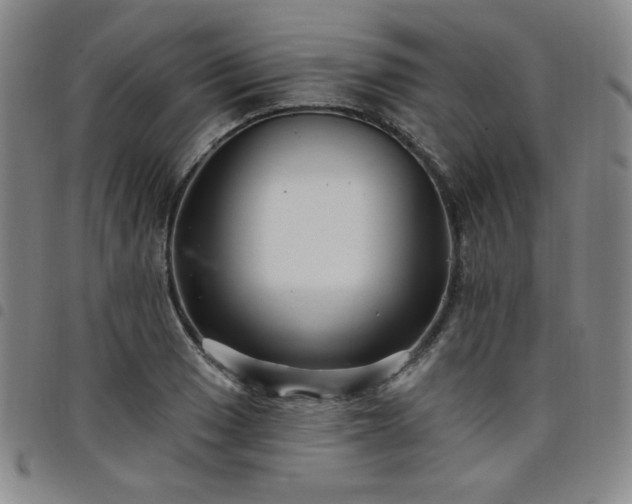 X0000098131033200804241644