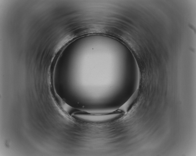 X0000098131034200804241644