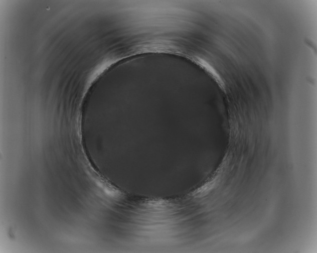 X0000098131035200804241644