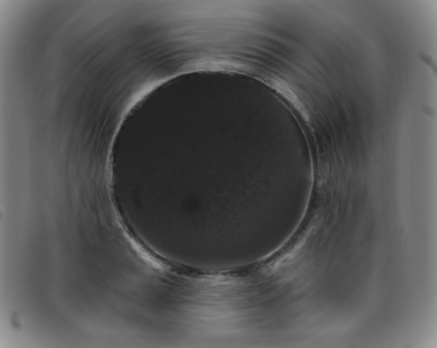 X0000098131037200804241645