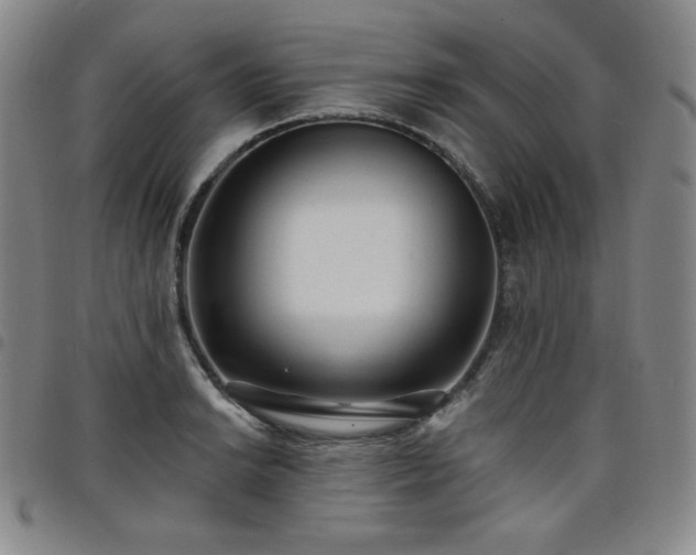 X0000098131038200804241645