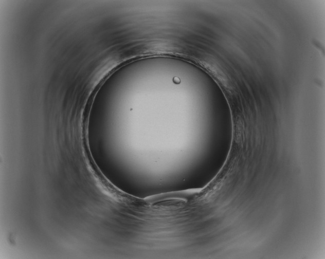 X0000098131039200804241645