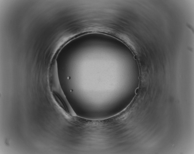 X0000098131040200804241645