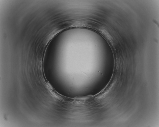 X0000098131041200804241645