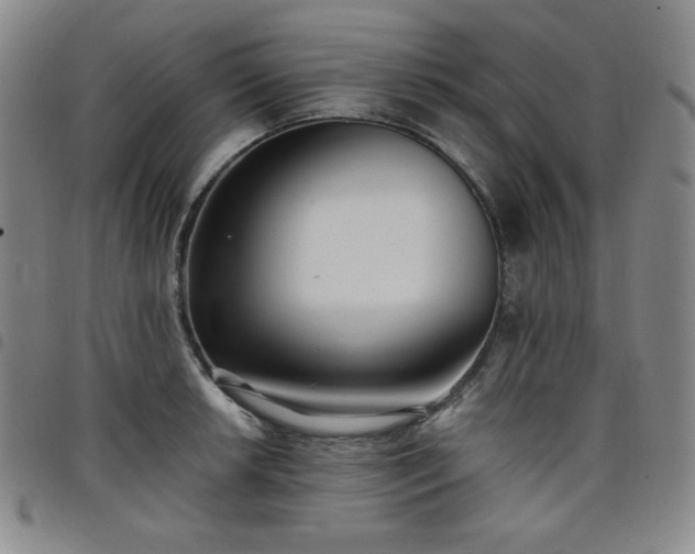 X0000098131042200804241645