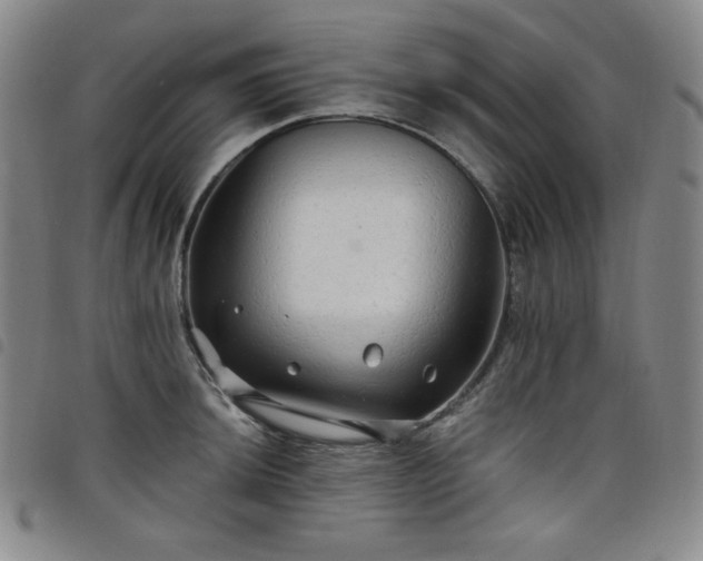 X0000098131044200804241645