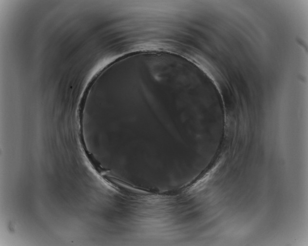 X0000098131045200804241645