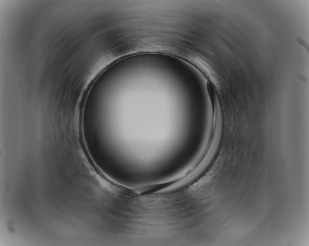 X0000098131046200804241645