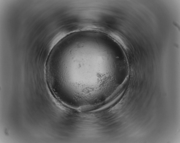 X0000098131047200804241645