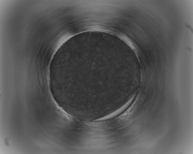 X0000098131048200804241645