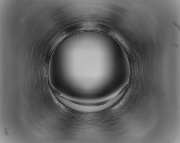 X0000098131049200804241645