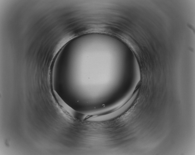 X0000098131050200804241645