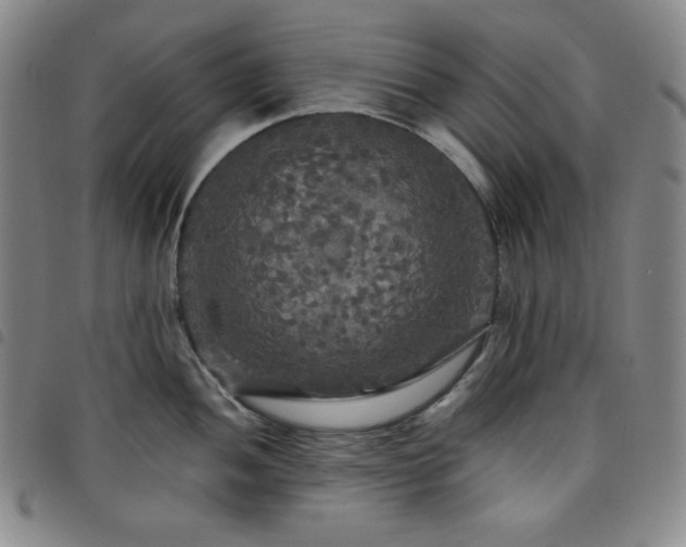 X0000098131052200804241645