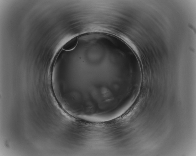 X0000098131053200804241645