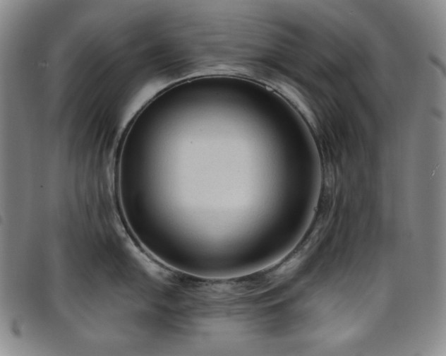 X0000098131054200804241645