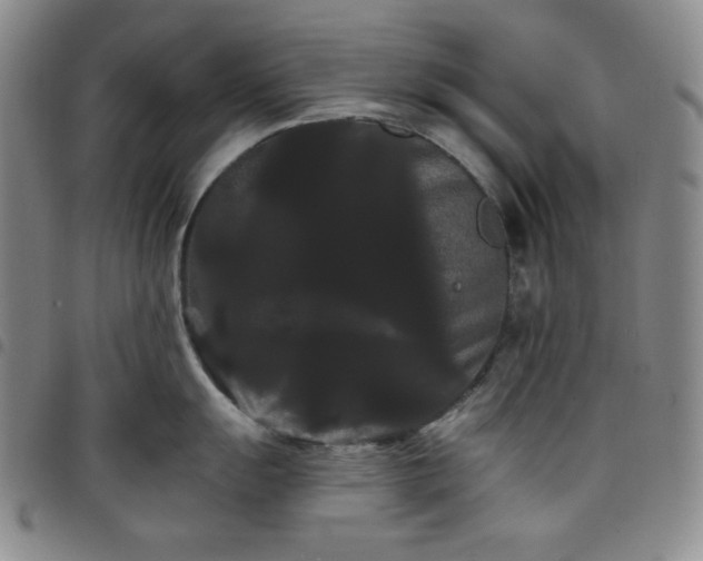 X0000098131055200804241645
