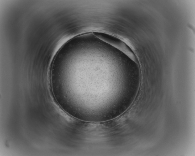 X0000098131056200804241645