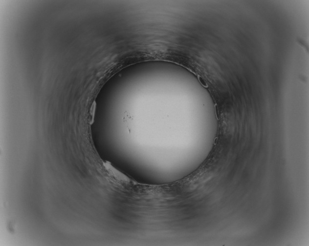 X0000098131057200804241644