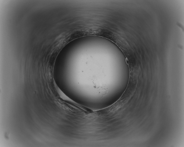 X0000098131058200804241644