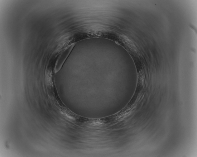 X0000098131060200804241644
