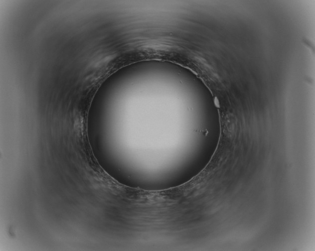 X0000098131061200804241644
