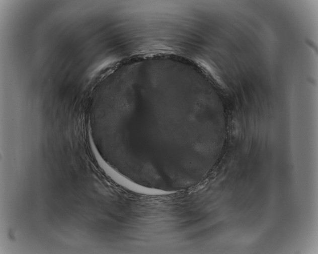 X0000098131063200804241644