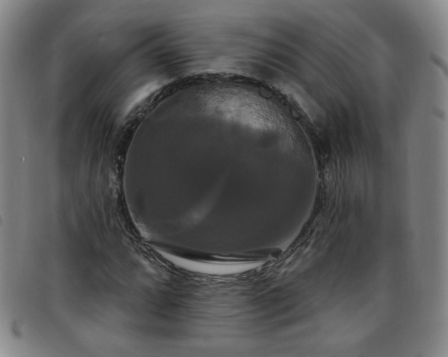 X0000098131064200804241644