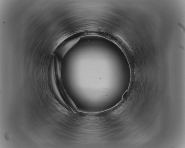 X0000098131065200804241644
