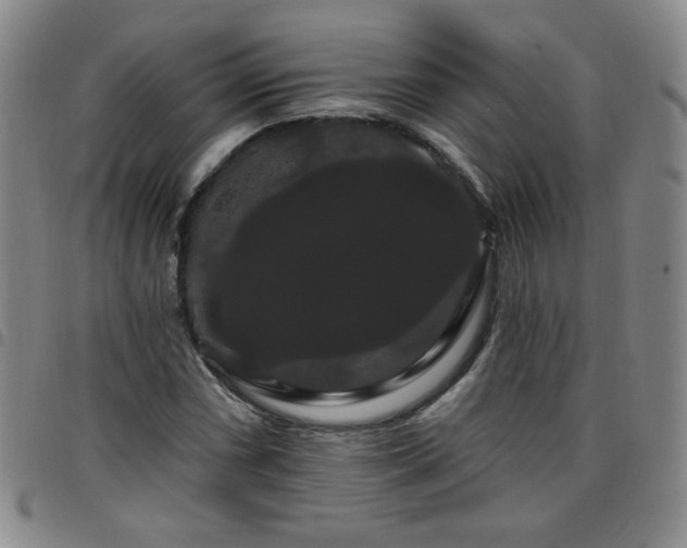 X0000098131066200804241644