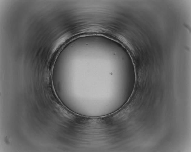 X0000098131067200804241644
