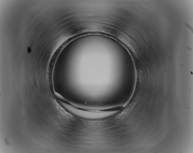 X0000098131068200804241644