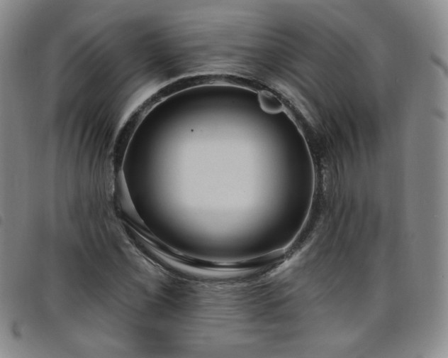 X0000098131069200804241644