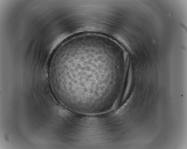 X0000098131070200804241644