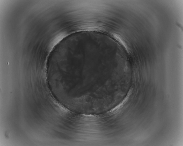 X0000098131071200804241644