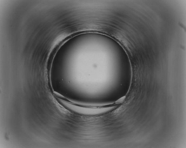 X0000098131072200804241644