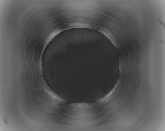 X0000098131074200804241644