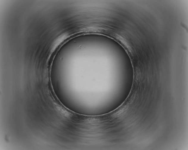 X0000098131075200804241644