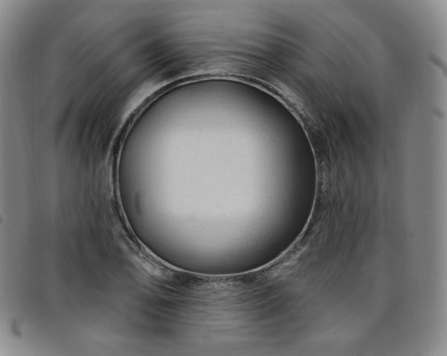X0000098131078200804241644