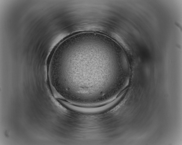 X0000098131079200804241643