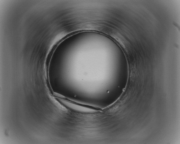 X0000098131080200804241643