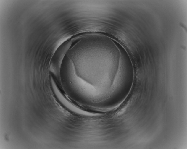 X0000098131081200804241643