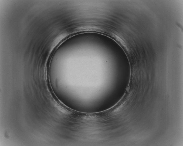 X0000098131082200804241643
