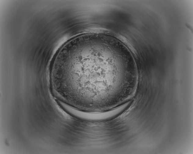 X0000098131083200804241643