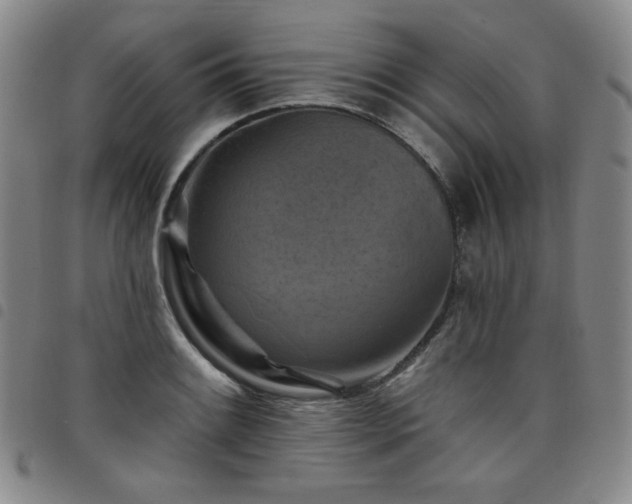 X0000098131084200804241643