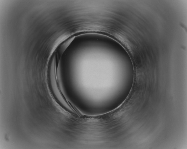 X0000098131085200804241643