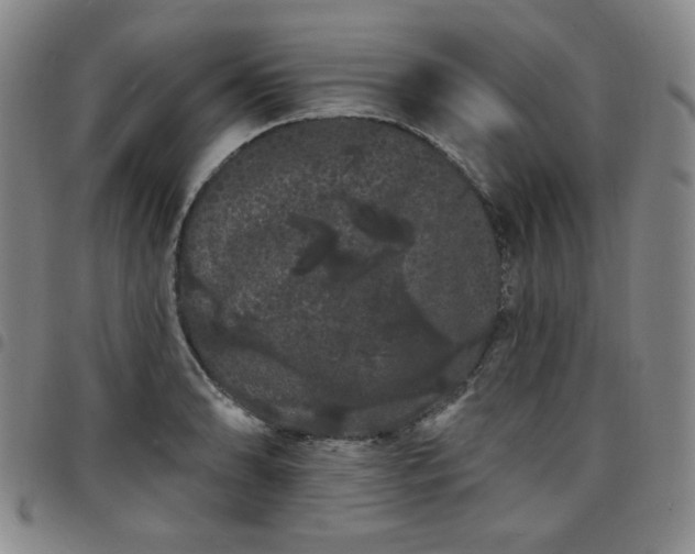 X0000098131086200804241643
