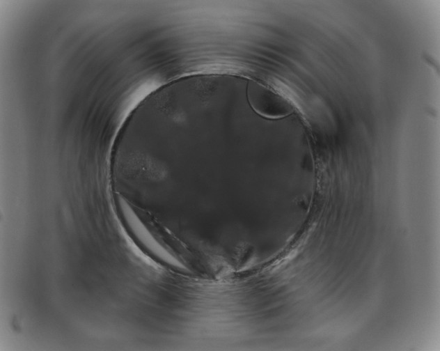 X0000098131087200804241643