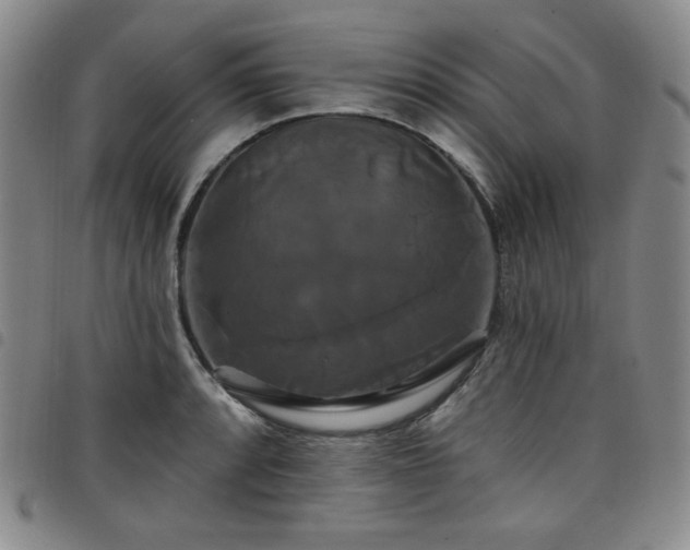X0000098131088200804241643