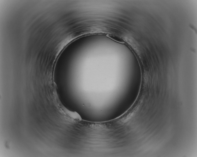 X0000098131089200804241643